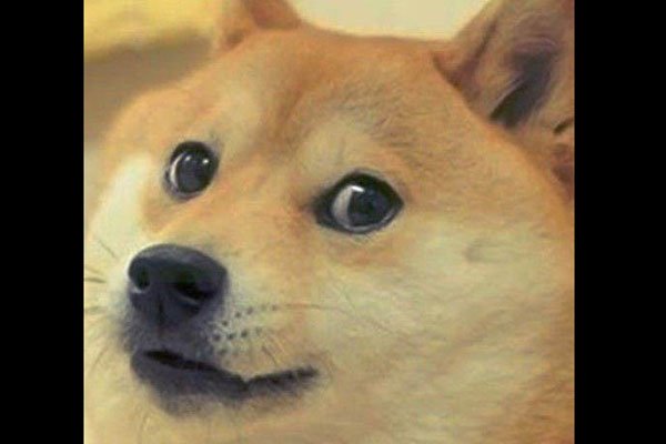 ͷʲô˼ ͷ
