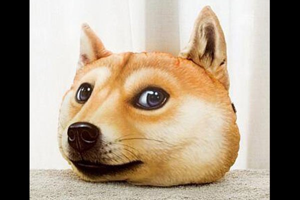 ͷʲô˼ ͷ