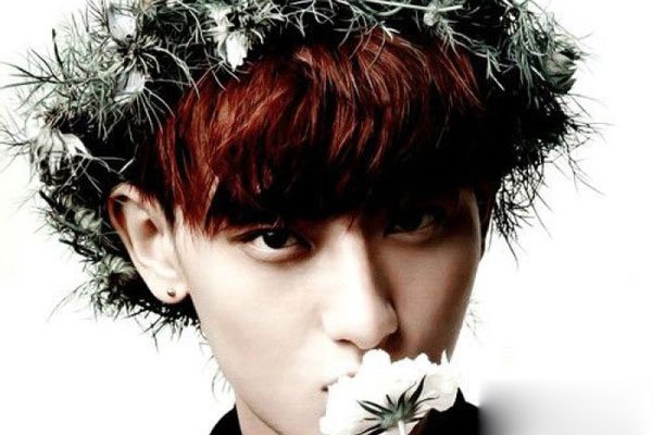 exoΪʲôż exoйԱ˳ԭ