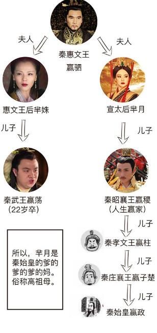 芈月是秦始皇的奶奶吗 芈月嬴政关系图