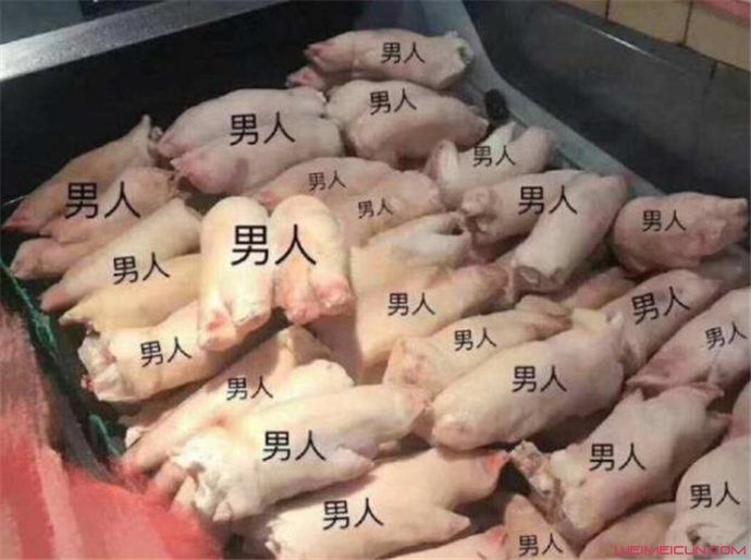 Ů˵ʲô˼ ӹԴ