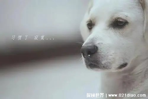͸Ĺϸ˼ ͸Ĺ˼