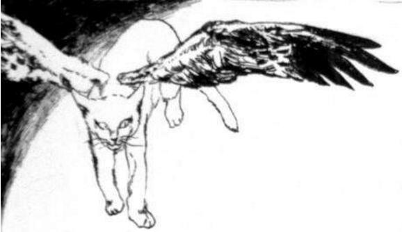 ʹèʲôӵ?ʹè¼