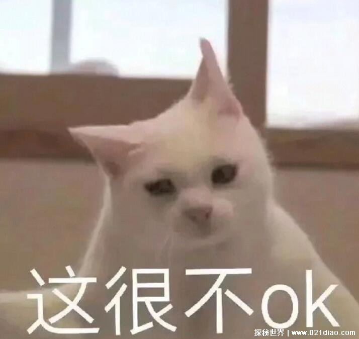 Ů˵ʲô˼ ʱõ