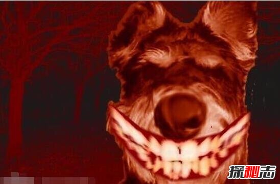 ֥Ůʵ ֥Ůԭ