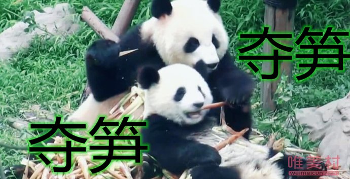 ʲô˼