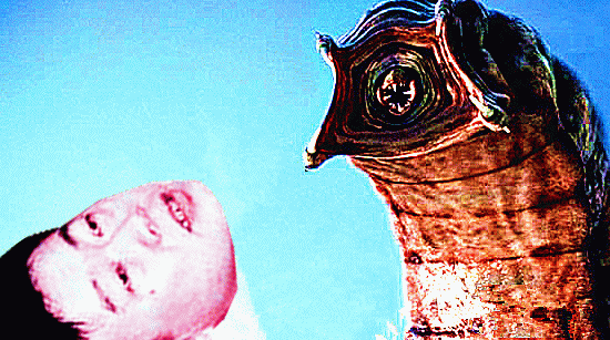 йʮа֯Щ