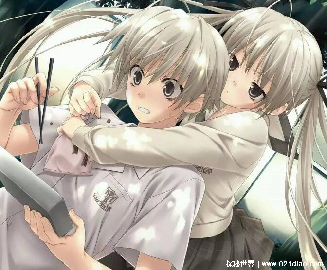 ţͷʲô˼ ʲô