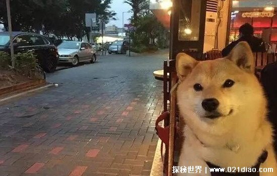 μݵʲô˵ õΪҪ