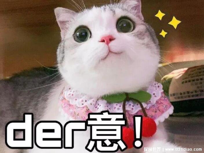 derʲô˼ saluteʲôô