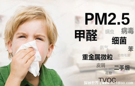 椰棕床垫有无甲醛的方法 椰棕垫有危害吗