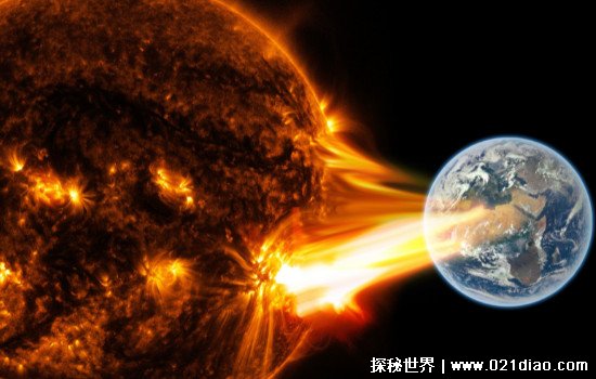 寿命最长的生物是什么 水熊虫寿命是多少年
