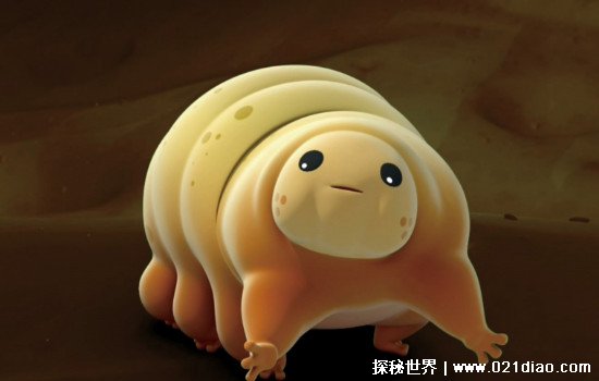 寿命最长的生物是什么 水熊虫寿命是多少年