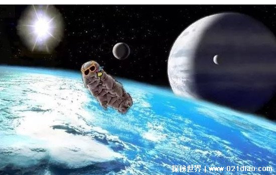 寿命最长的生物是什么 水熊虫寿命是多少年