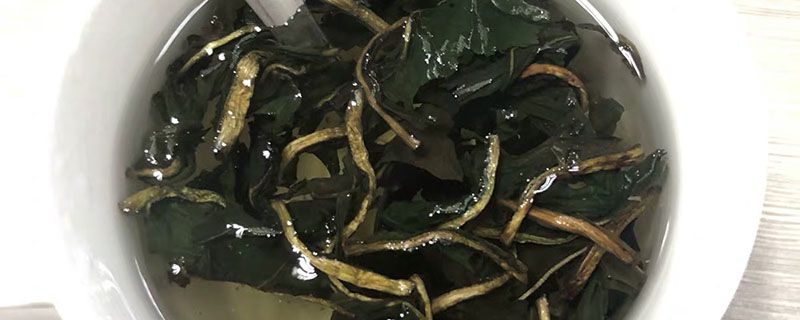茉莉绿茶的功效与禁忌