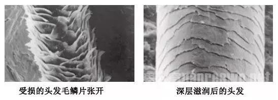 烫发难打理? Get四个男生烫卷整理技巧