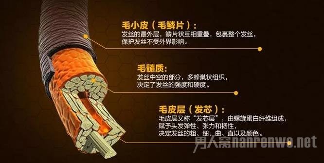 烫发难打理? Get四个男生烫卷整理技巧
