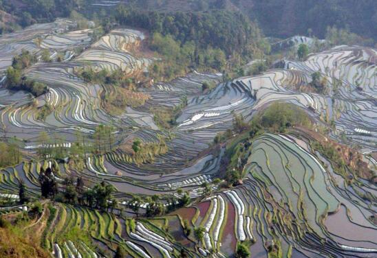 中国高原有哪些 青藏高原是我国最大高原