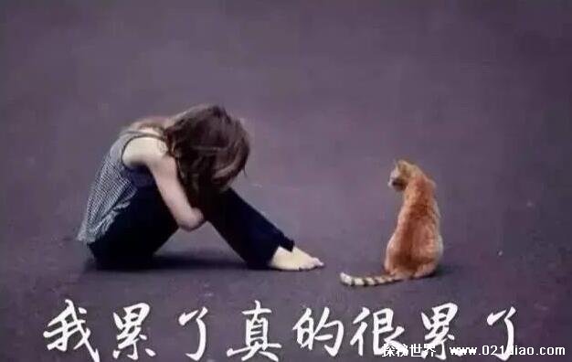 安慰自己的暖心短句 可以振作自己心情好的文案