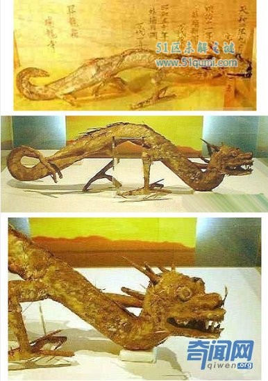 龙真的存在吗？ 龙的起源和几大事件