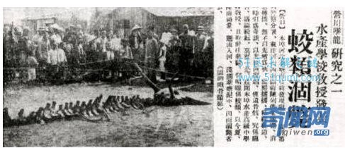 龙真的存在吗？ 龙的起源和几大事件