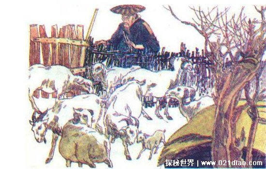 亡羊补牢是什么意思 改正自己的错误弥补自己的过错