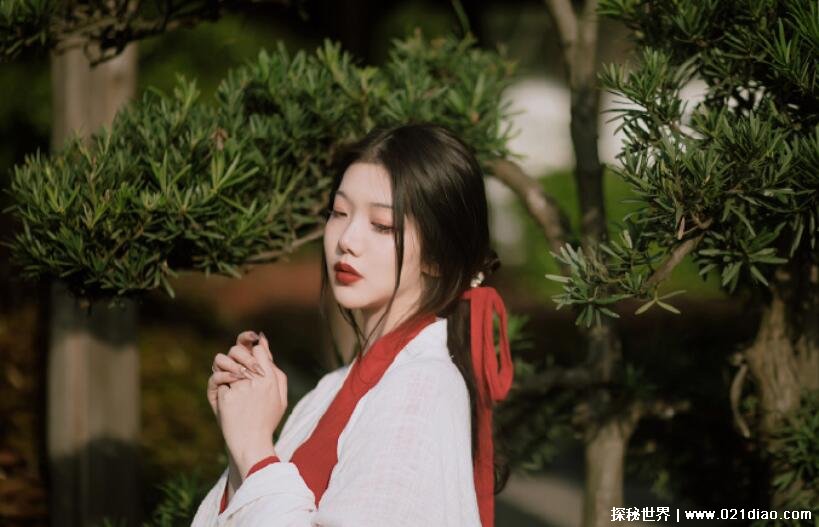好看的小说有哪些 高质量小说推荐