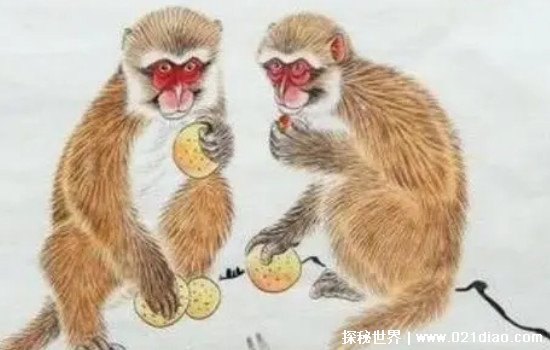 92年出生的是什么命 根据五行的说法