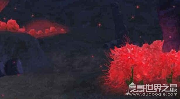 人死后会去哪里 投胎的全部过程