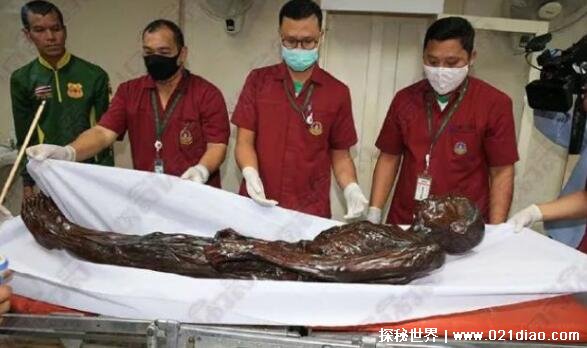泰国干尸博物馆的女干尸是怎么回事 被冤枉的杀人魔细伟