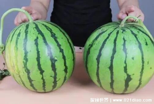西瓜怎么挑？ 吃西瓜会胖吗