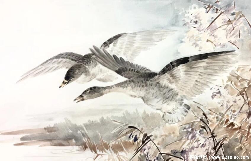 《惠崇春江晚景二首》原文译文 这首诗是在什么背景下创作的