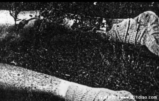 95年上海吸血鬼事件真相 真的有吸血鬼的存在吗？