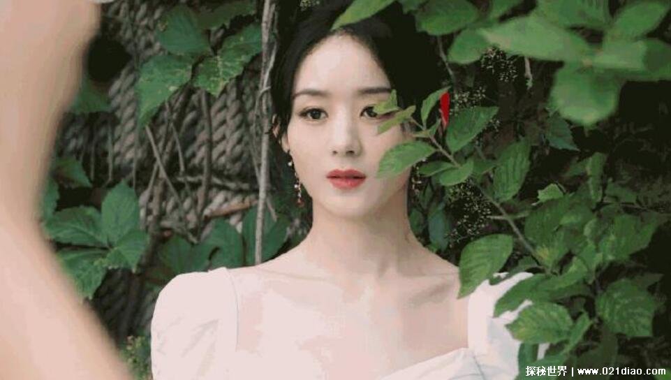 赵丽颖有哪些黑历史？ 朝阳v姐是什么意思