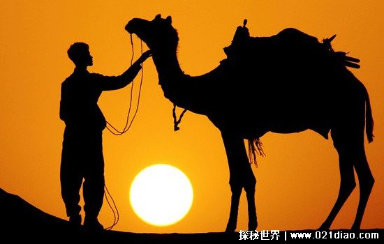 徐霞客是哪个朝代的 22岁开始旅行直到53岁才停止