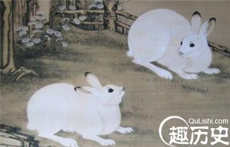 嫦娥和玉兔的故事 玉兔的传说