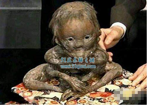 全球神秘生物排名 龙真的存在吗？
