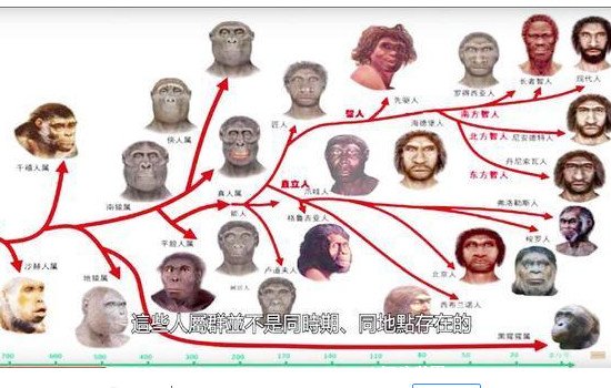 智人的发展历史 吃掉尼安德特人是怎么回事