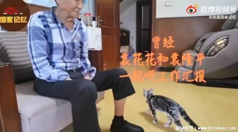 袁隆平的的猫 袁花花被领养的场景
