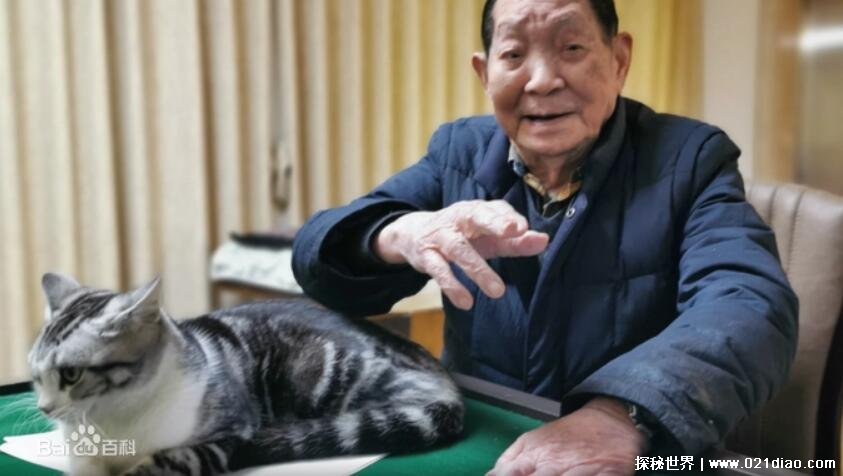 袁隆平的的猫 袁花花被领养的场景