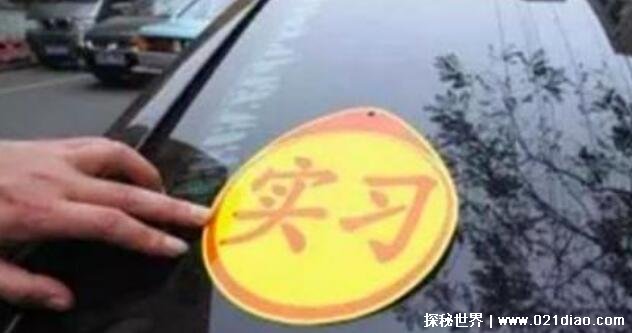 实习期上高速会罚款？ 实习期要遵守哪些规定