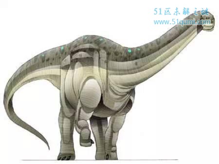 易碎双腔龙于1877年所挖掘 易碎双腔龙和蓝鲸谁大？