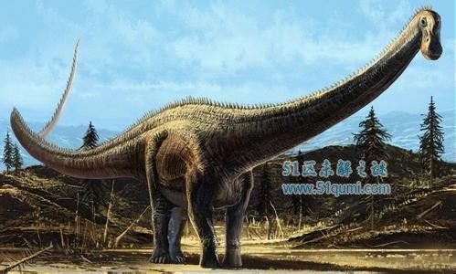 易碎双腔龙于1877年所挖掘 易碎双腔龙和蓝鲸谁大？