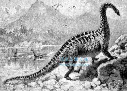 易碎双腔龙于1877年所挖掘 易碎双腔龙和蓝鲸谁大？