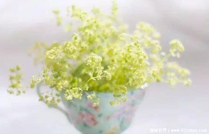 简单快乐的短句 好心情放松的文案
