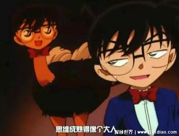腹黑的双层含义 扶她是什么意思