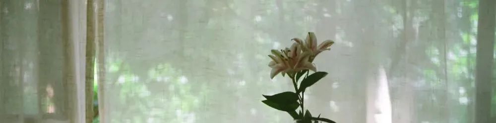 北京紫荆医院好不好 总是想上厕所是怎么回事