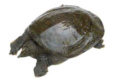  ʵڱ