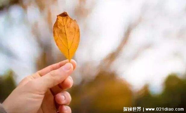 Ů˿һеͼƬ;ӣඥͻľ¼