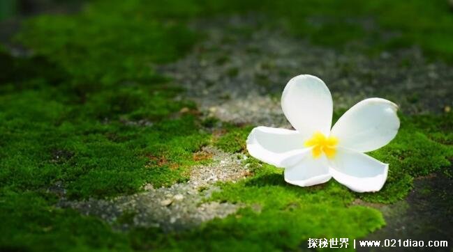 Ů˿һеͼƬ;ӣඥͻľ¼